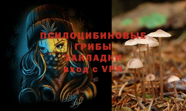 бошки Россошь