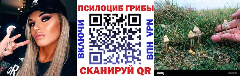 Галлюциногенные грибы MAGIC MUSHROOMS  Сокол 