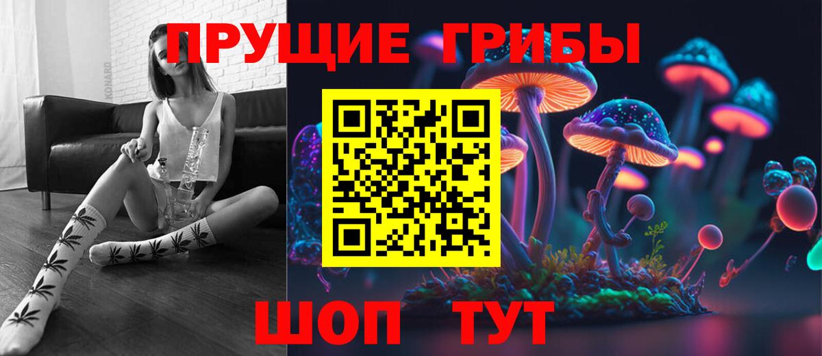 Сокол  наркотики  Вход с VPN  Галлюциногенные грибы MAGIC MUSHROOMS 