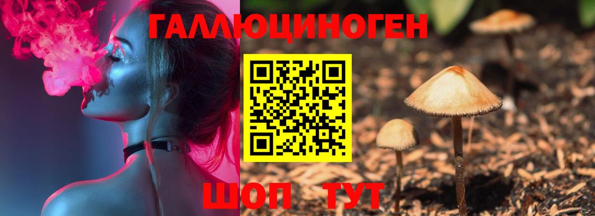 Галлюциногенные грибы ЛСД Сокол